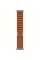 Apple Watch Ultra 3 GPS + Cellular, 49mm Natural Titanium Case with Terra Cotta Alpine Loop - Medium